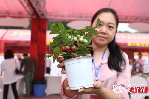 2021年重慶高新區科技活動周盛大啟幕 科技服務賦能創新發展