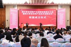 科技服務(wù)賦能創(chuàng)新發(fā)展 中國高新網(wǎng)引領(lǐng)科技技術(shù)服務(wù)新篇章