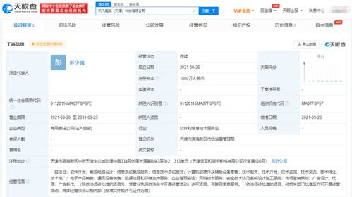 科大訊飛布局新賽道 成立超腦科技公司，深化信息系統(tǒng)集成服務(wù)